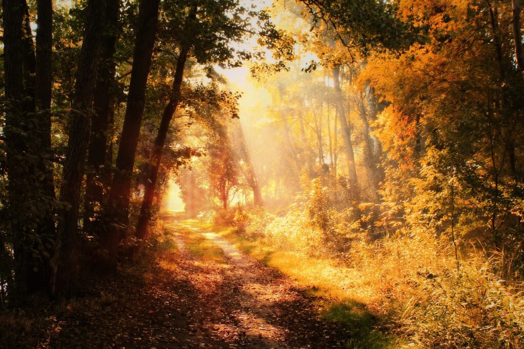 Es wird Herbst