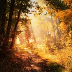 Es wird Herbst